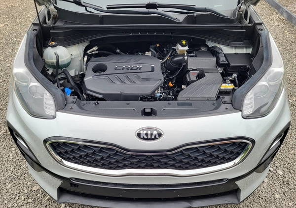 Kia Sportage cena 49500 przebieg: 122400, rok produkcji 2021 z Krosno małe 79